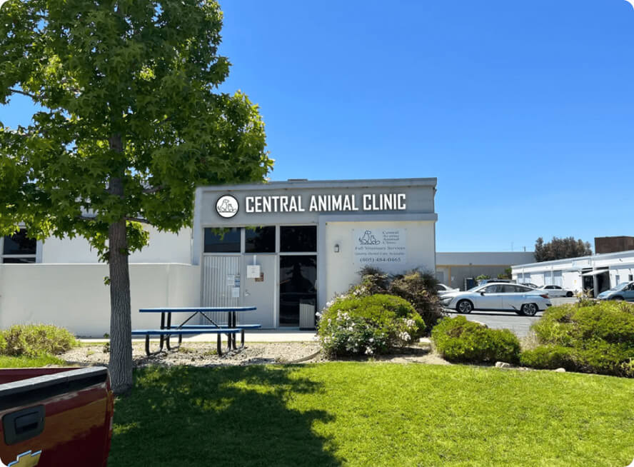 Outside picture of Central Animal Clinic In Camarillo, CA