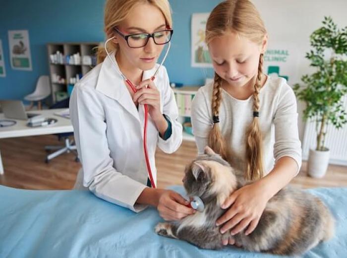 Annual Pet Wellness Exams in Camarillo: What to Expect